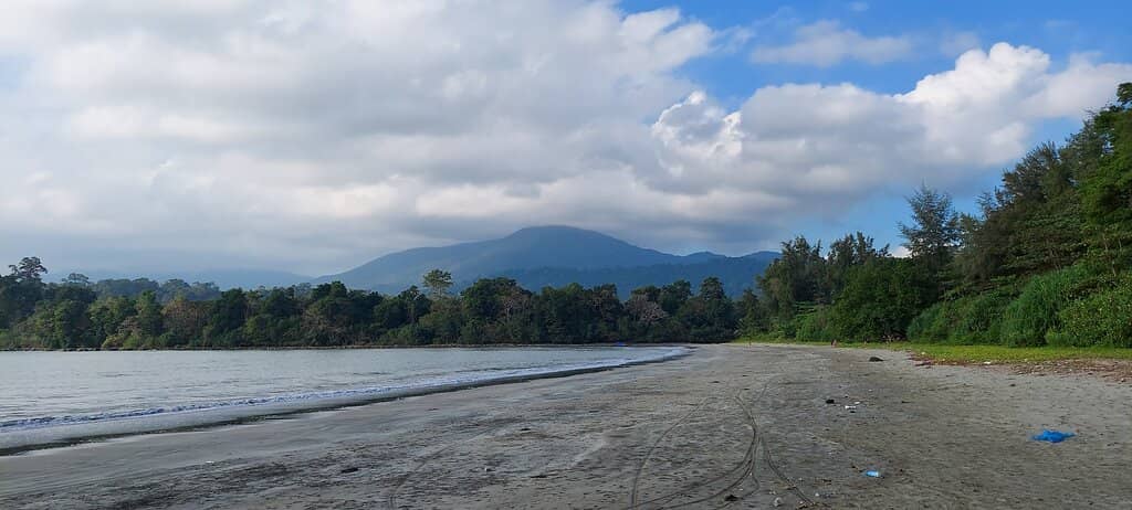 Turtle Nesting Ground