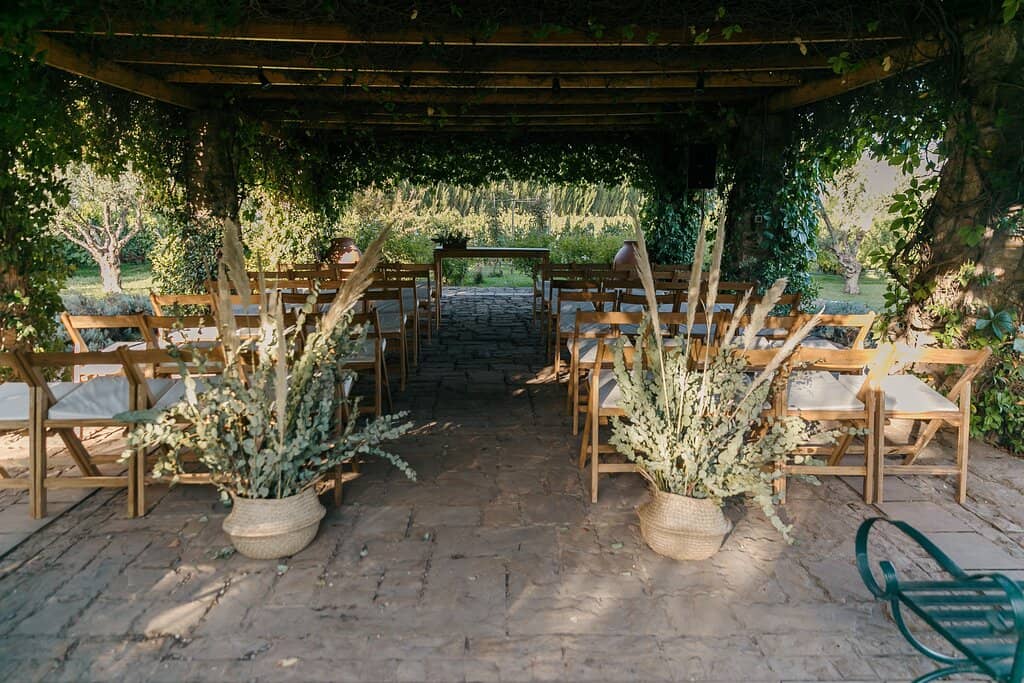 Beautiful Vineyard Grounds