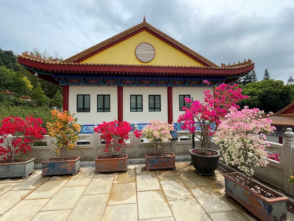 Serene Koi Ponds & Waterfalls