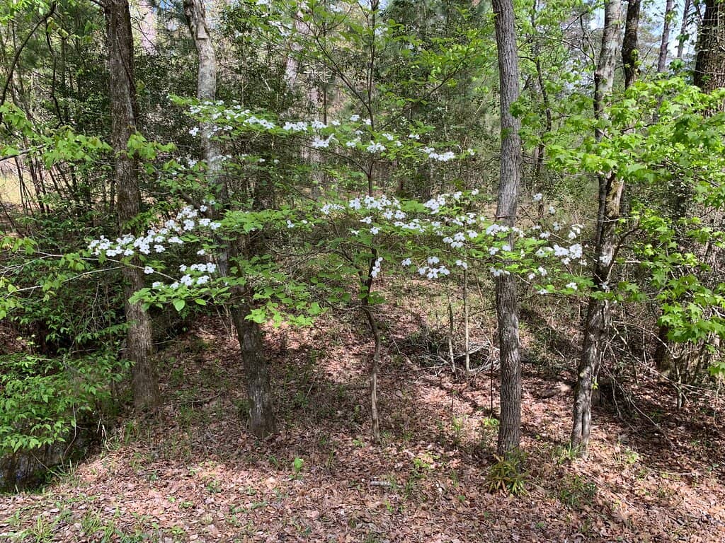 4-C National Recreation Trail