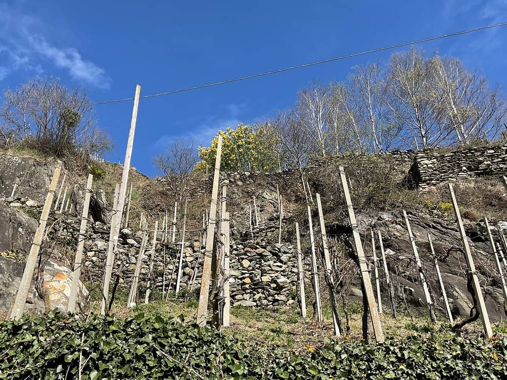 Valtellina Valley Views