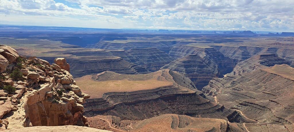 Bald Eagle Sightings