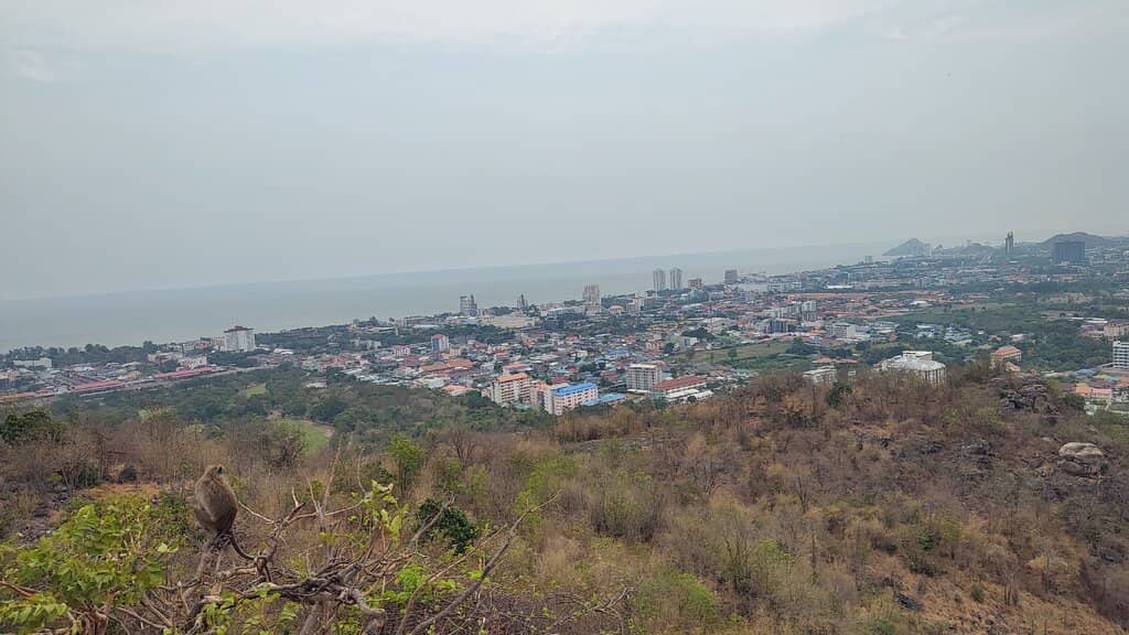 Abundant Wildlife Spotting