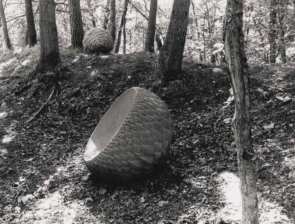 The Trees Are Talking