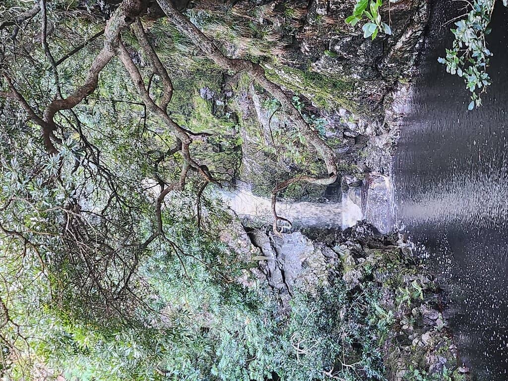 Disa Waterfall Trail