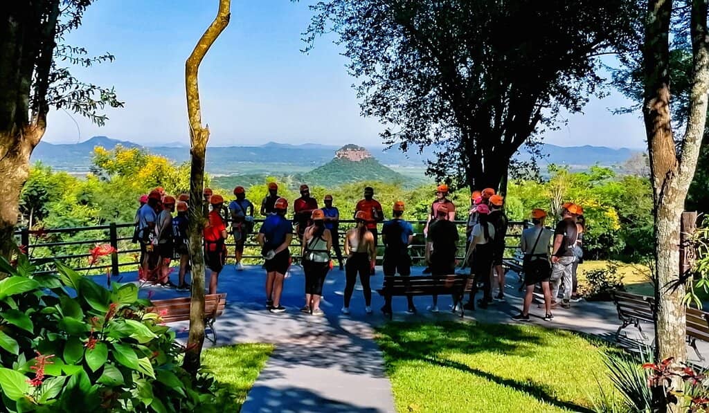 Atlantic Forest Biodiversity