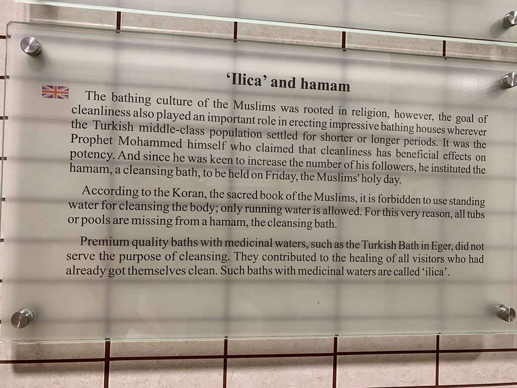 Sauna and Steam Rooms