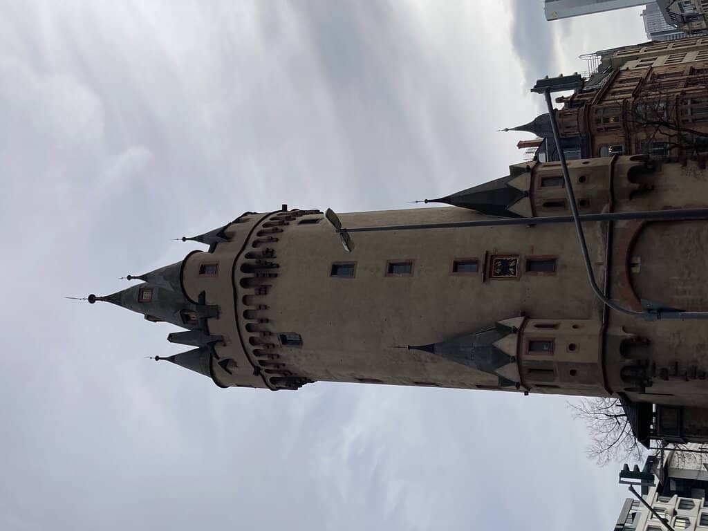 Flavorful Flammkuchen