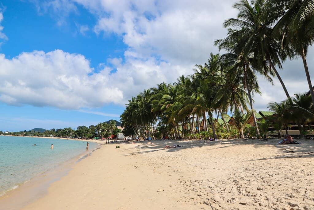 Calm Waters for Swimming
