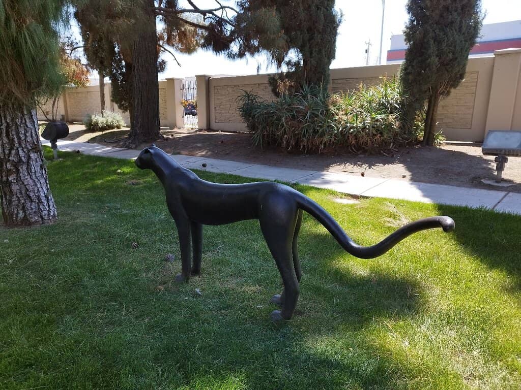 Beautiful Garden Area