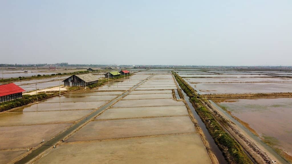 Salt Harvesting Process