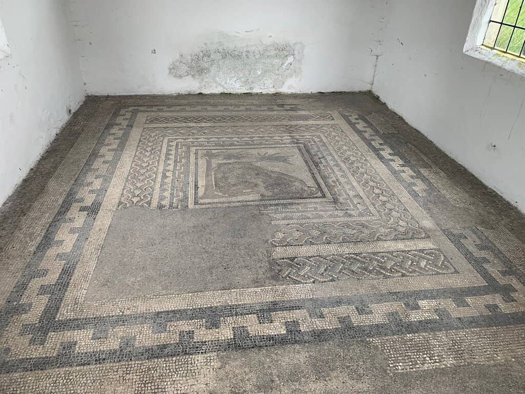 Incredibly Preserved Mosaics