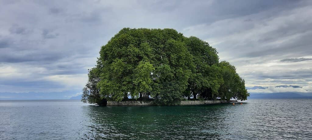 Historical Significance