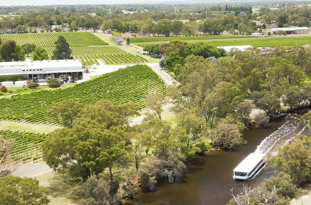 Family-Friendly Playground