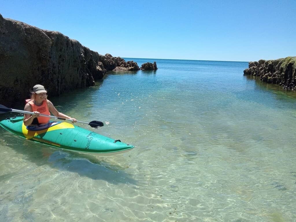 Southern Right Whales
