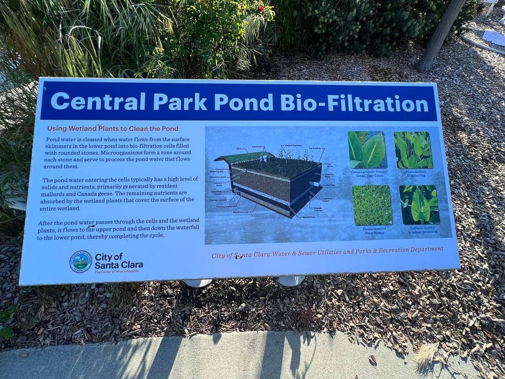 Outdoor Movie Nights