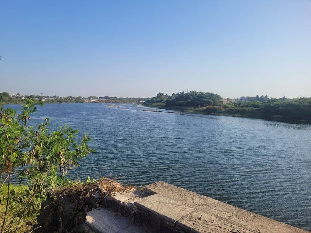 Intricate Wall Paintings