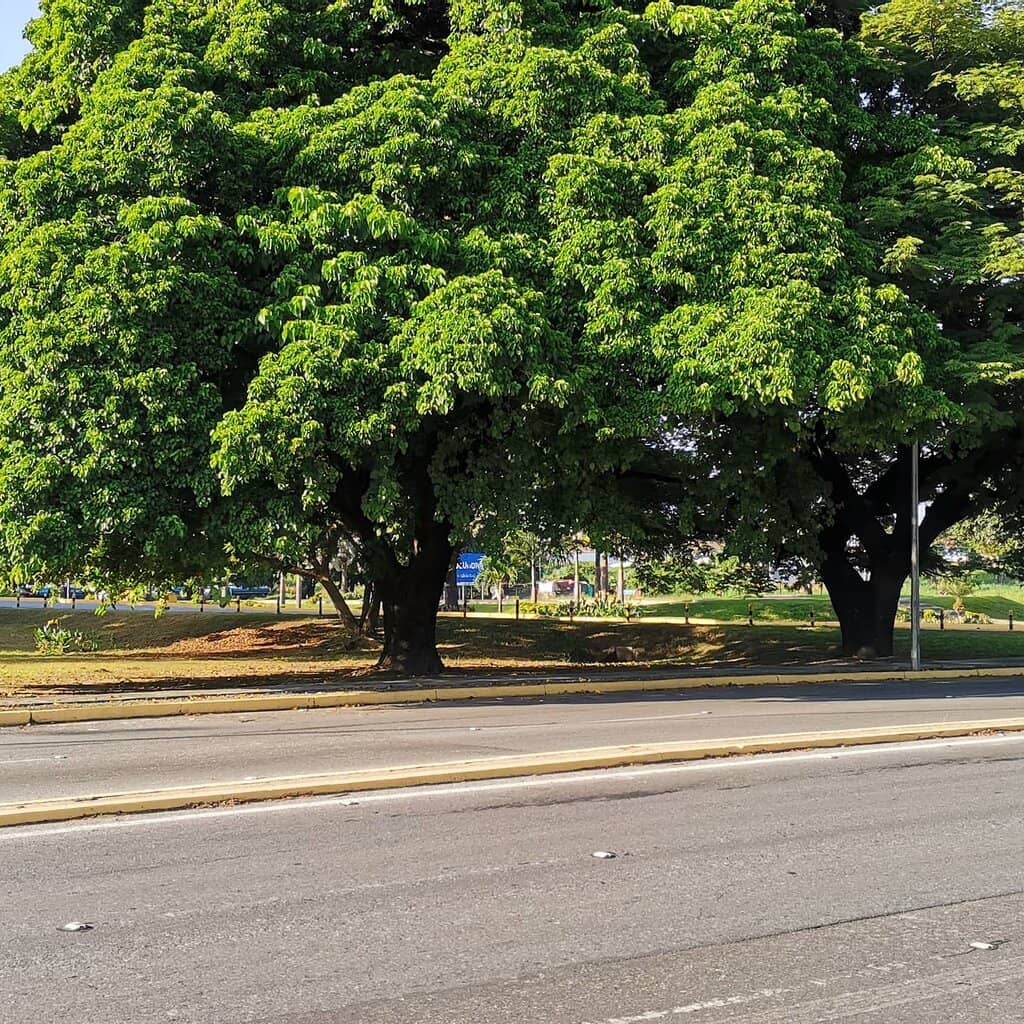 Interactive Flight Simulators
