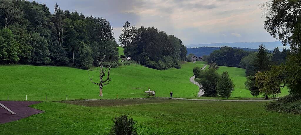 Felsenegg Restaurant