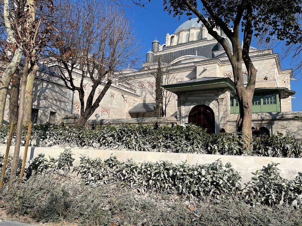 Children's Electric Car Zone