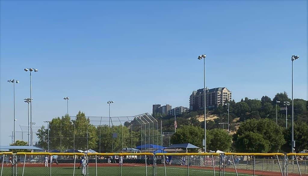 Vertical photo