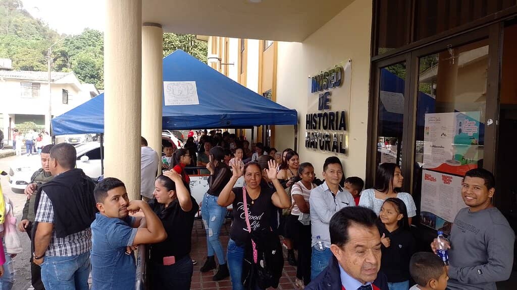 Impressive Dinosaur Fossils