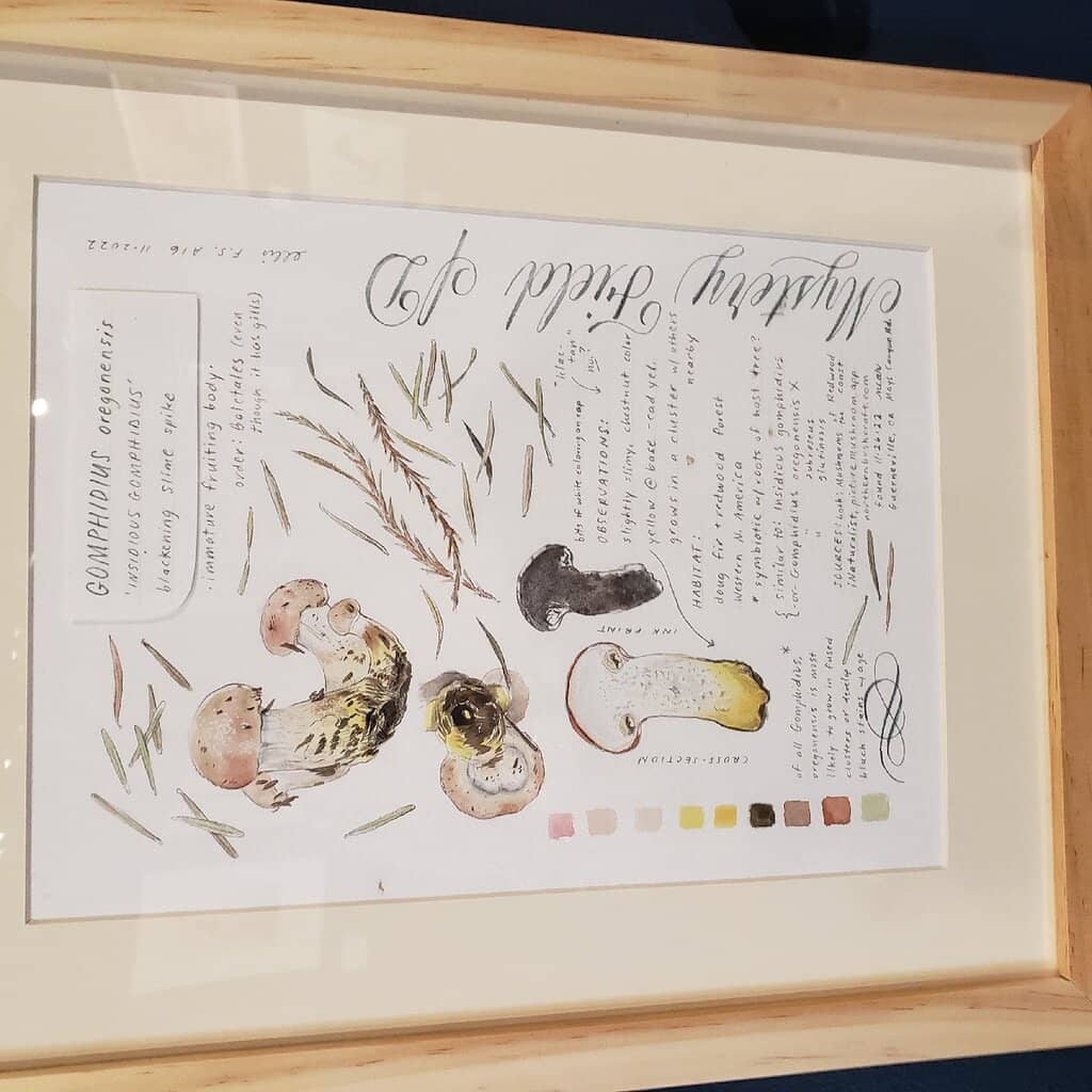 Local Wildlife & Fossils