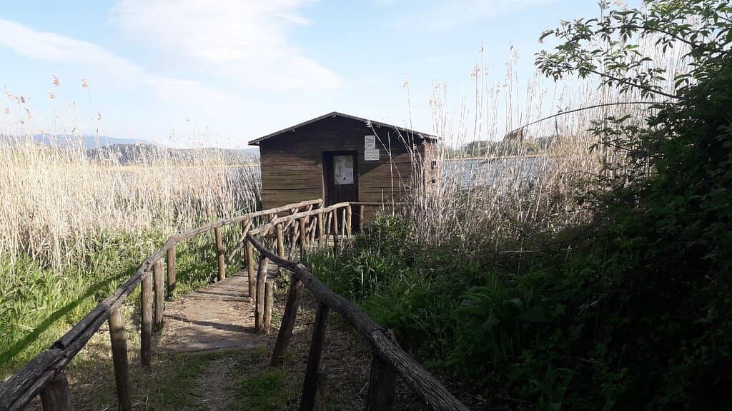 Tranquil Walking Trails