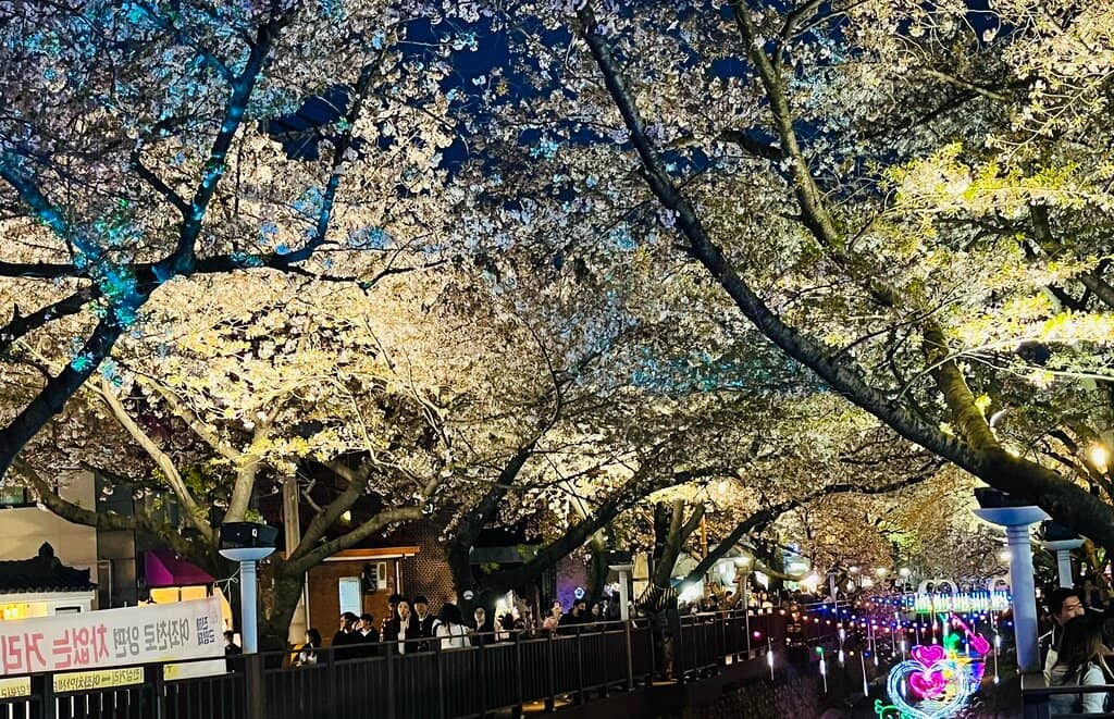 Festival Street Food & Stalls