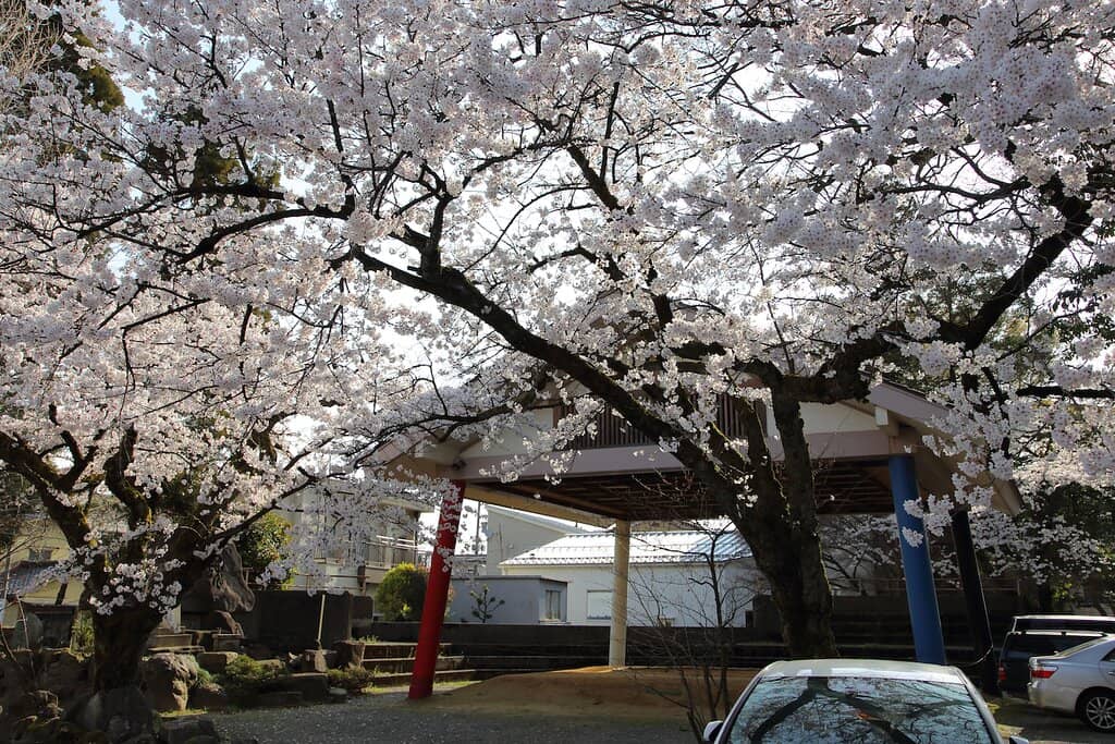 Friendly Shrine Staff