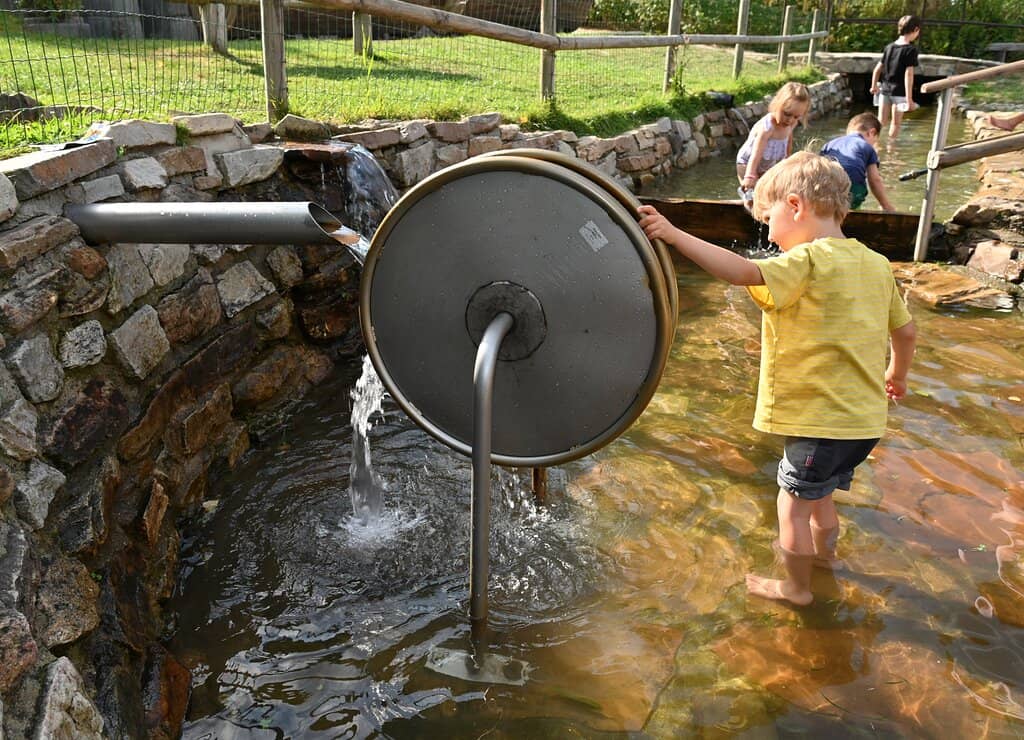 Petting Zoo & Animals