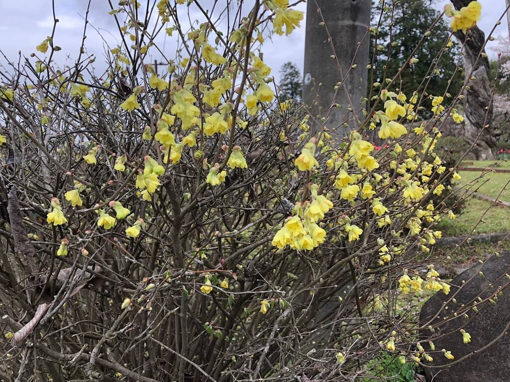 Anime Filming Location