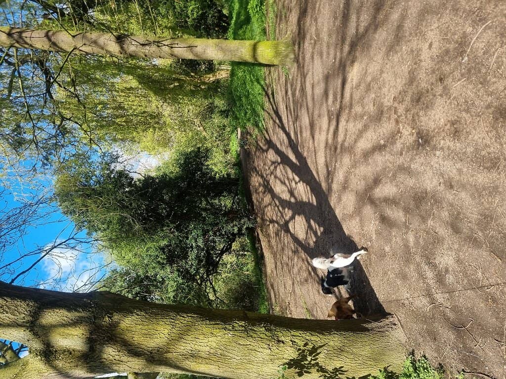 Children's Play Areas