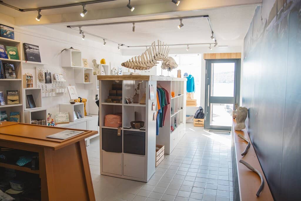 Interactive Activities