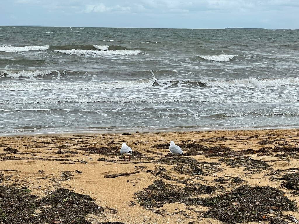 Coastal Walk & Picnic Spots