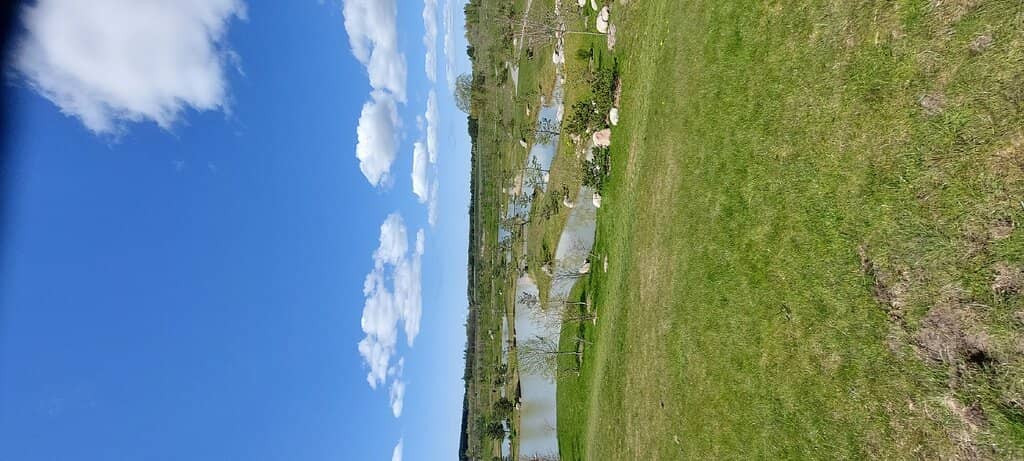 Tranquil Ponds and Paths