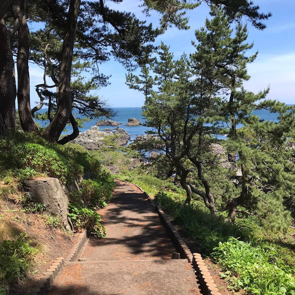 Bat Cave Exploration