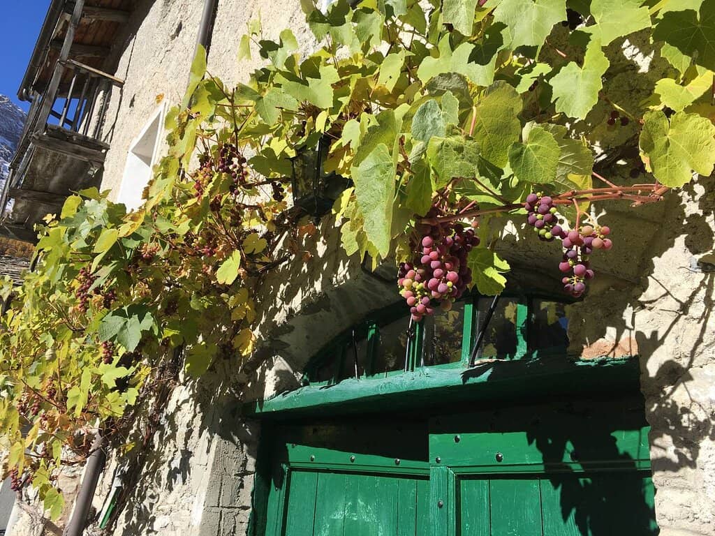 Elva's Pels Museum & Church