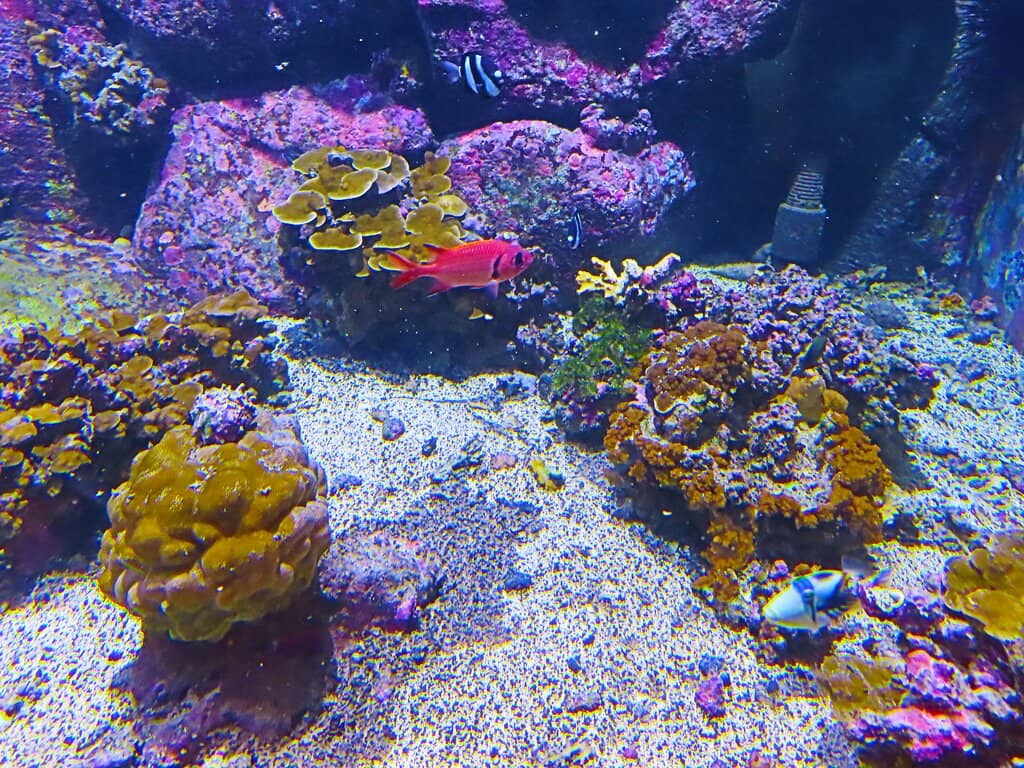 Interactive Cultural Exhibits