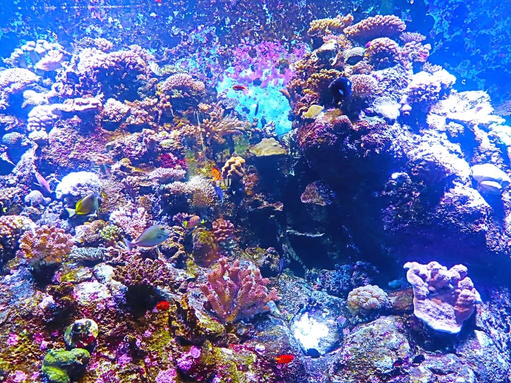 Native Species Exploration