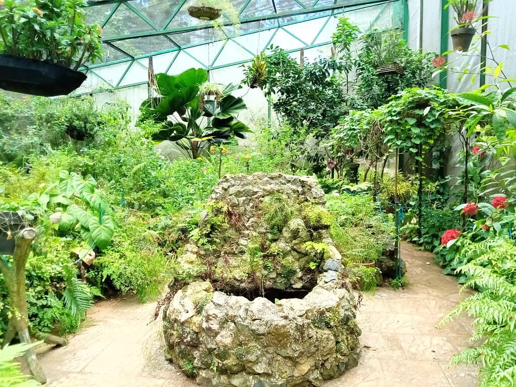 Historical Museum Pavilion