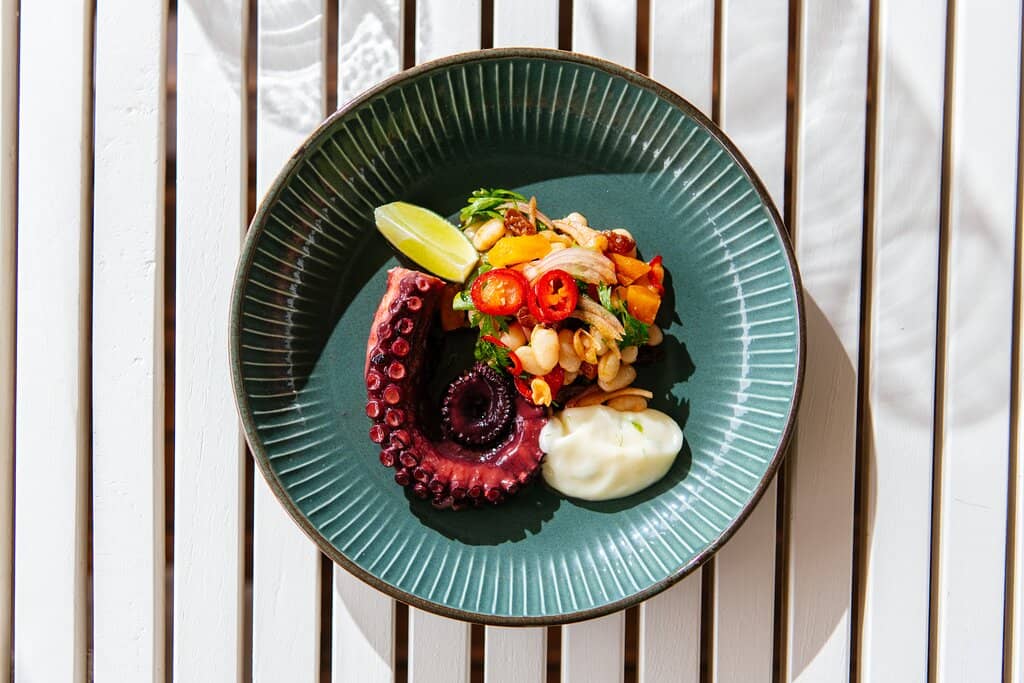 Cozy Atmosphere with Garden