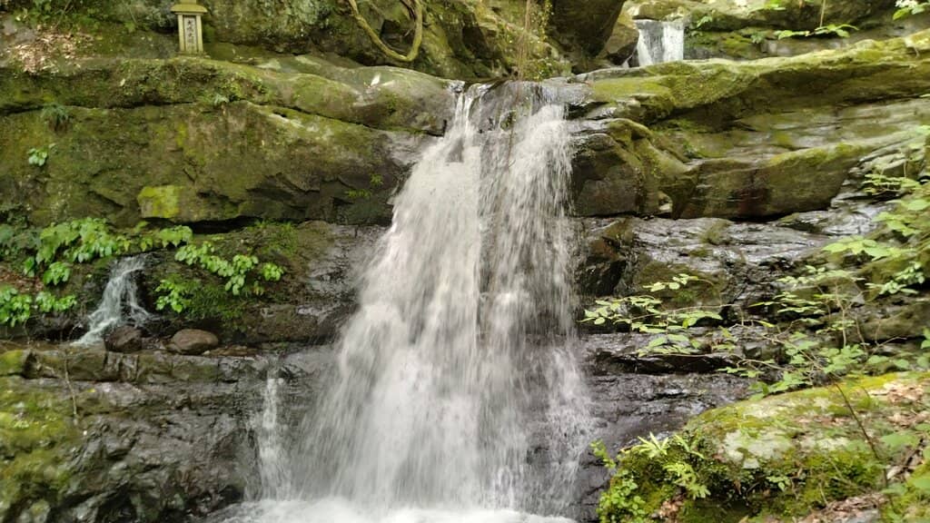 Mountain Stream Trails