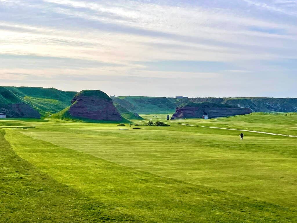 Dog-Friendly Paradise