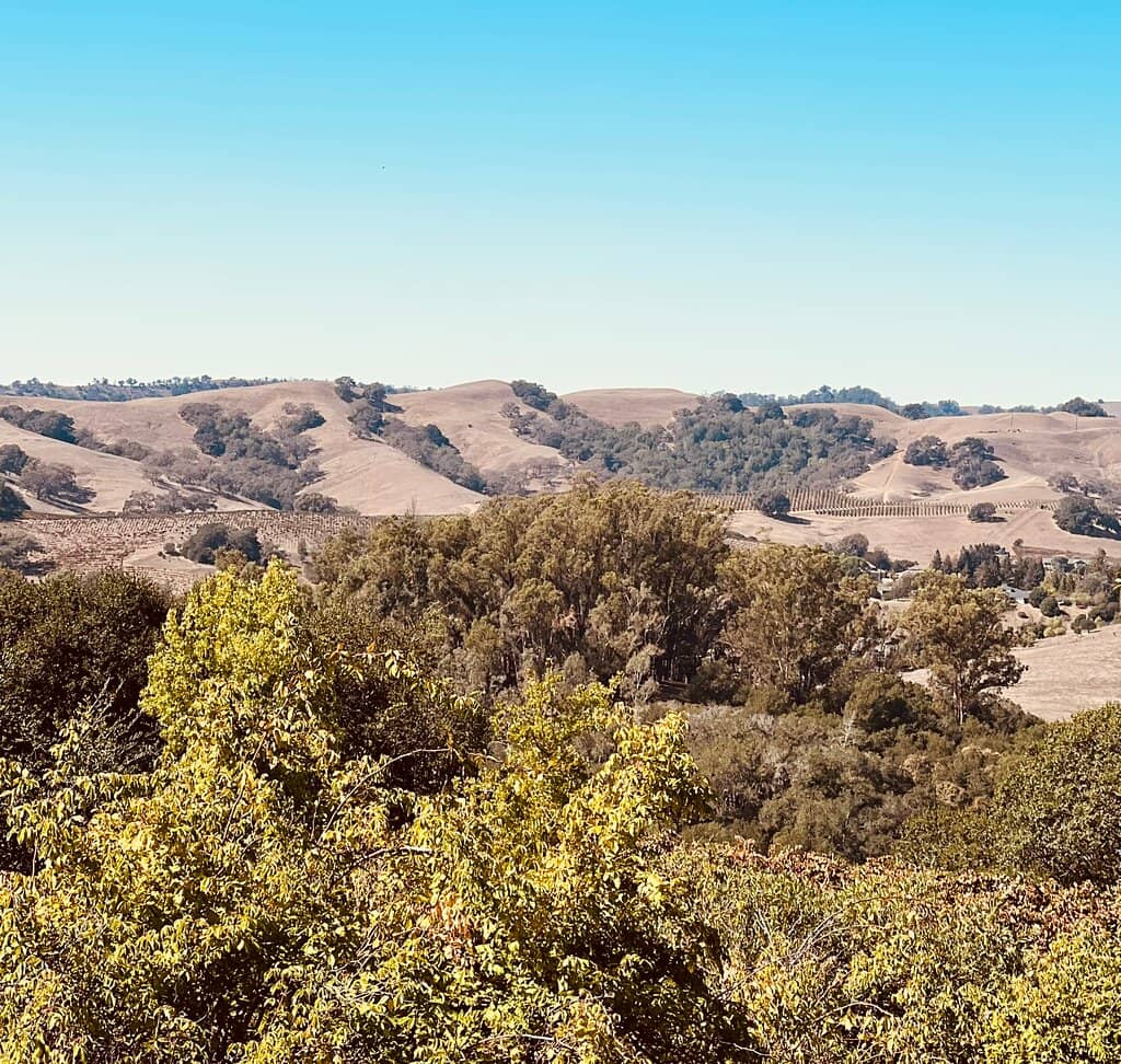 Carolyn Parr Nature Museum