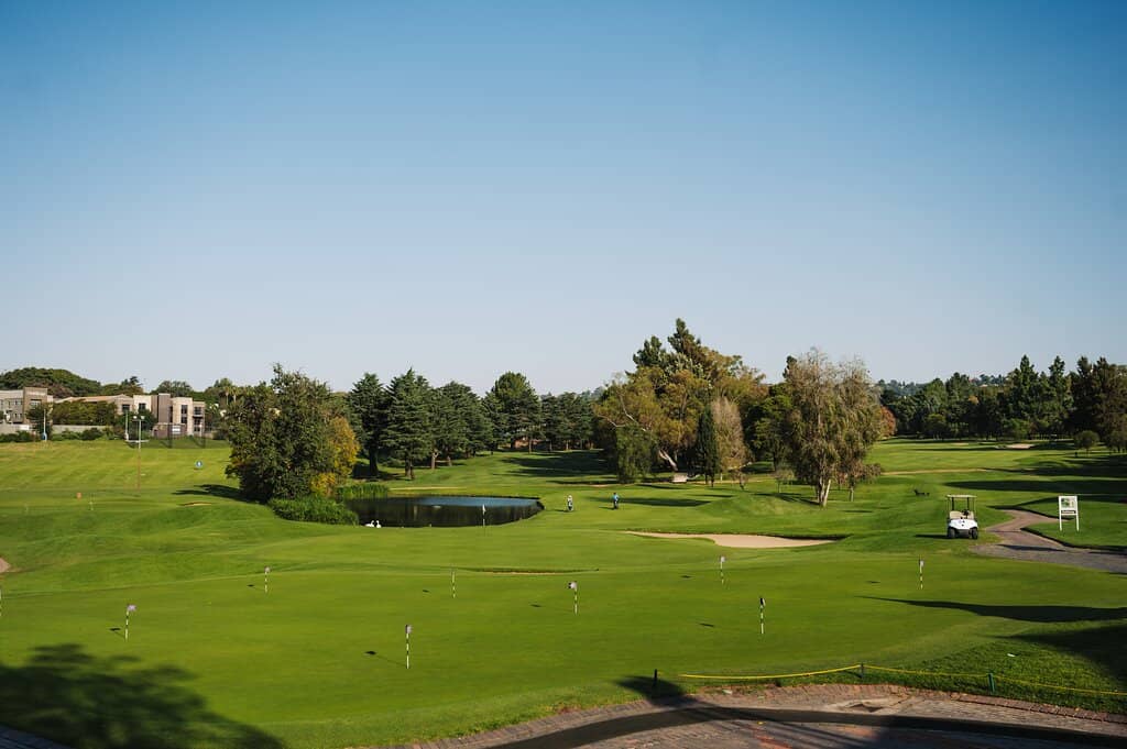 Outdoor Movie Nights