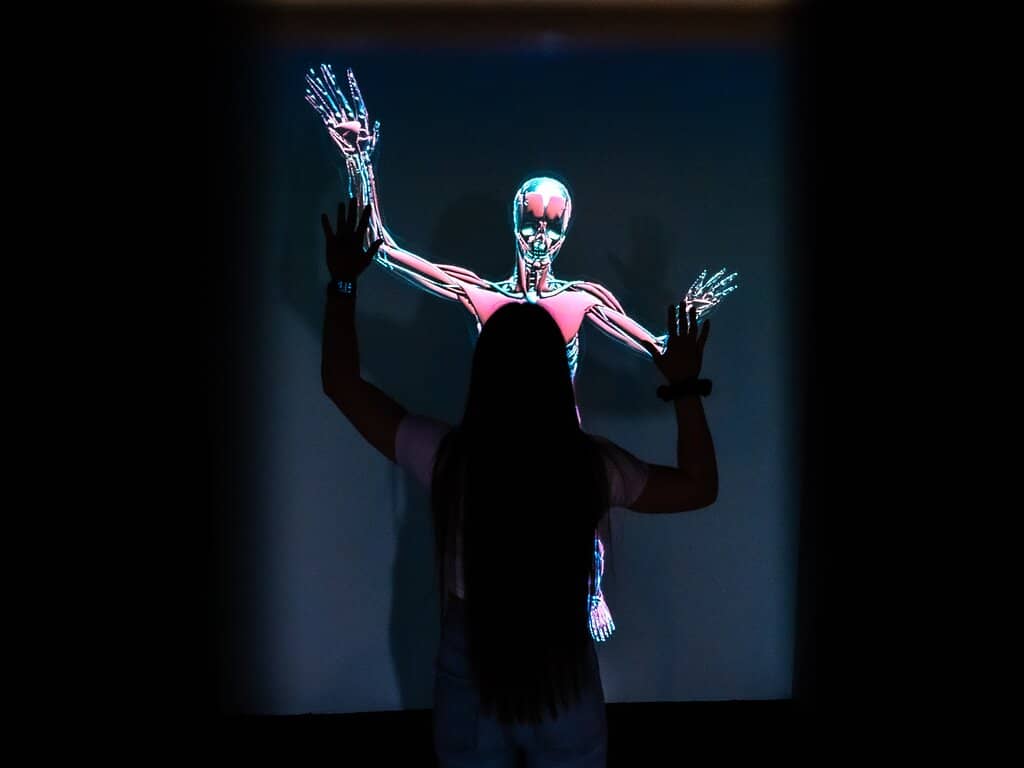 Optical Illusions Galore