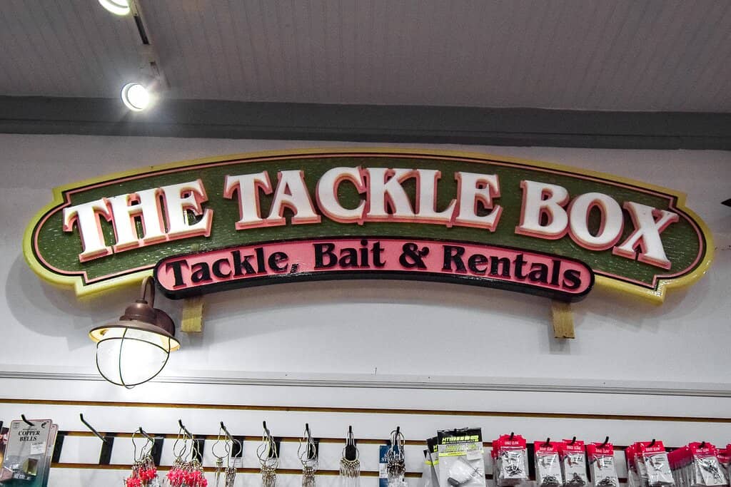 Pier Fishing Adventures