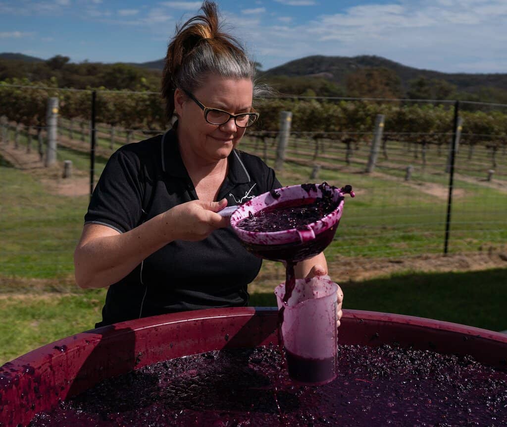 Unique Wine Offerings