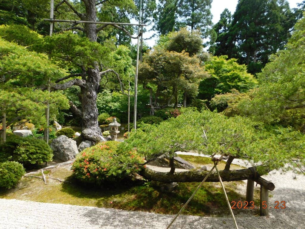 Vibrant Autumn Foliage